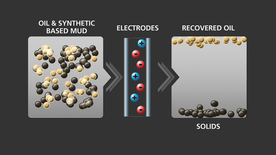 ESC Science